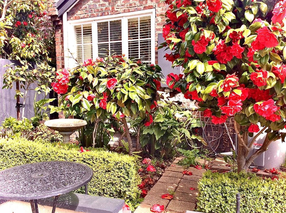 Bed and Breakfast Kurrajong House Launceston Exteriér fotografie